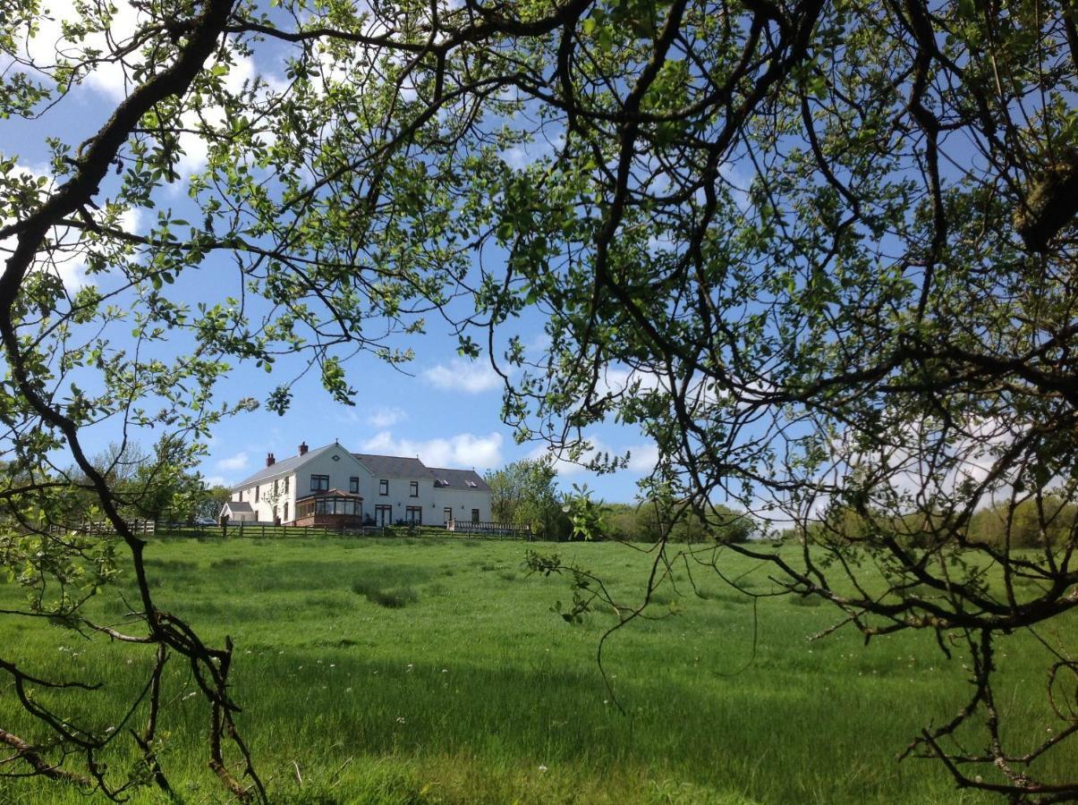 דירות Nantgaredig Penddaulwyn Uchaf Farm # Carmarthenshire מראה חיצוני תמונה