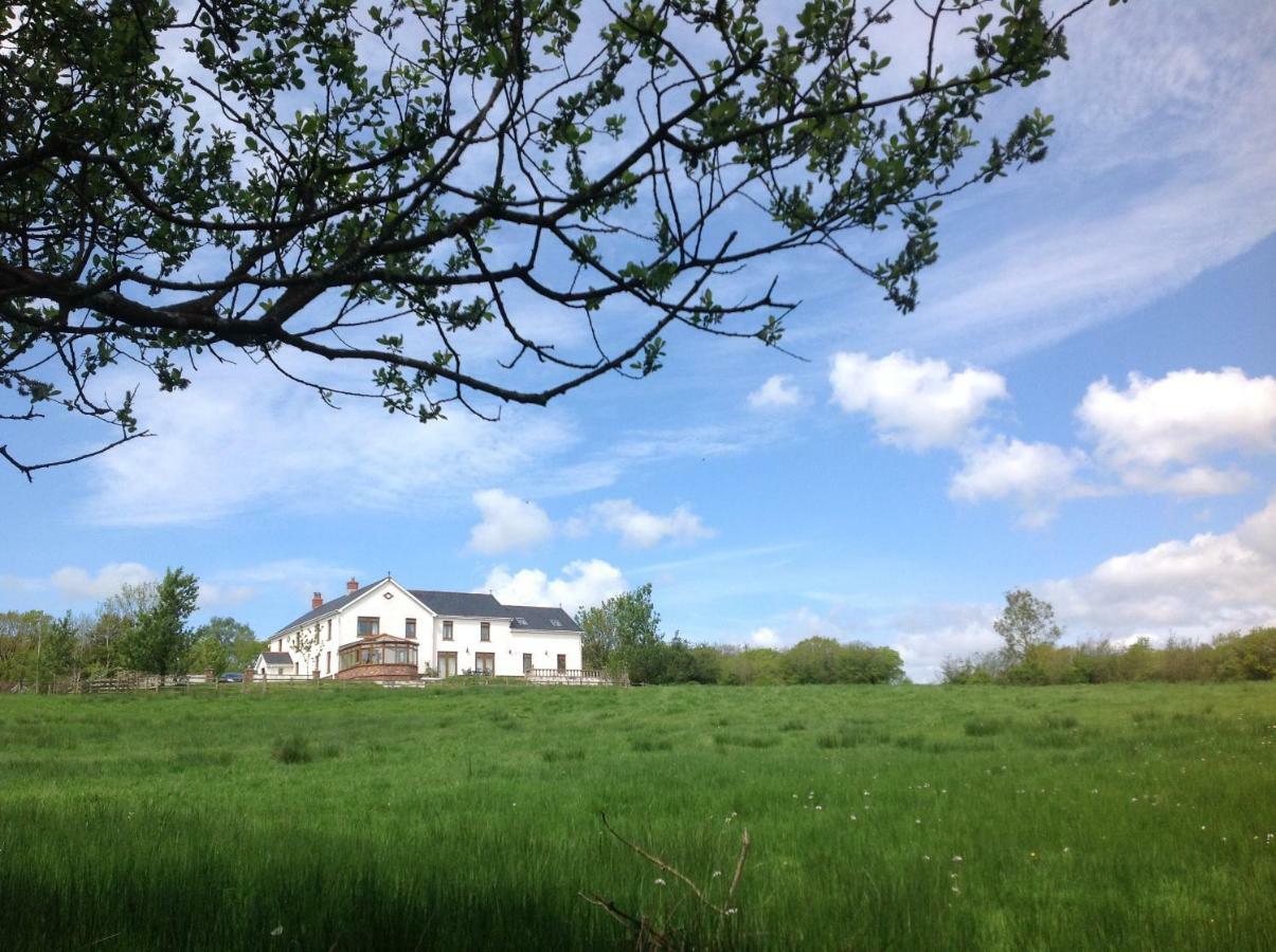 דירות Nantgaredig Penddaulwyn Uchaf Farm # Carmarthenshire מראה חיצוני תמונה