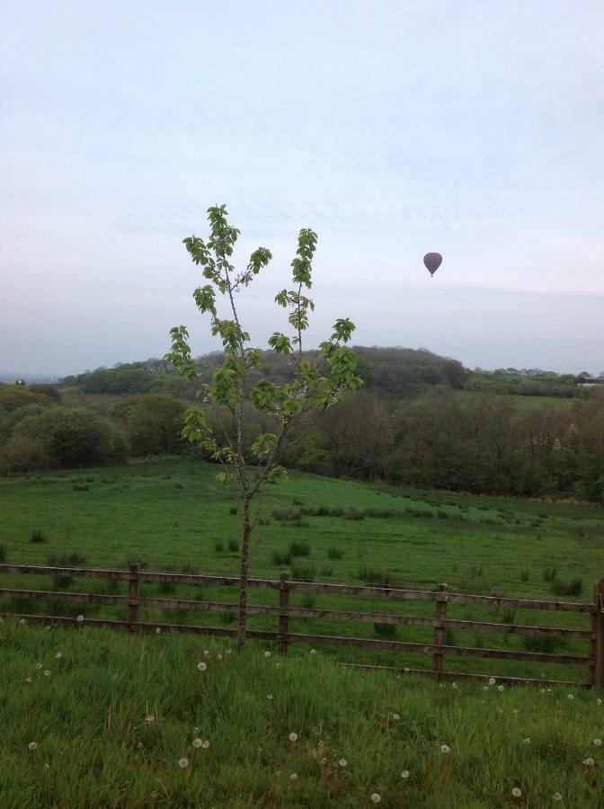 דירות Nantgaredig Penddaulwyn Uchaf Farm # Carmarthenshire מראה חיצוני תמונה