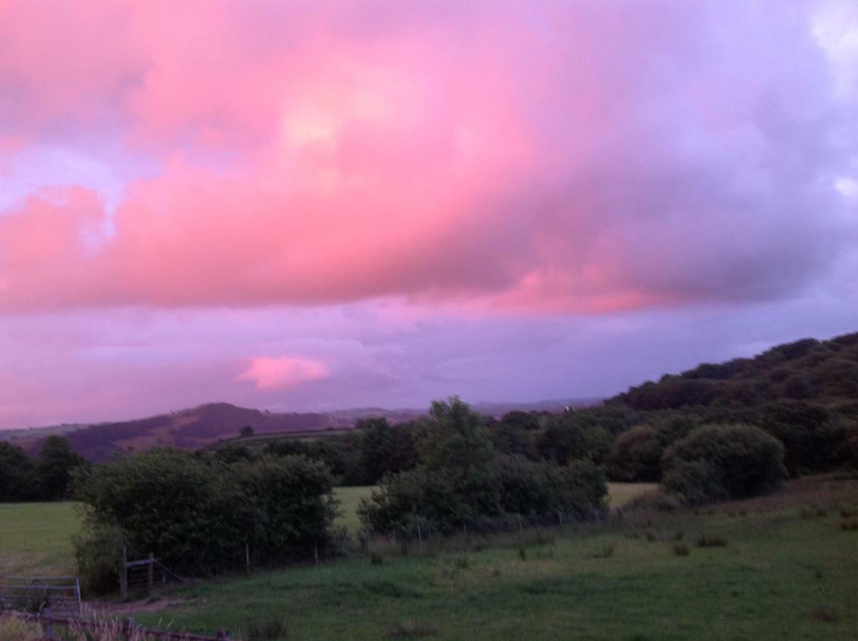 דירות Nantgaredig Penddaulwyn Uchaf Farm # Carmarthenshire מראה חיצוני תמונה