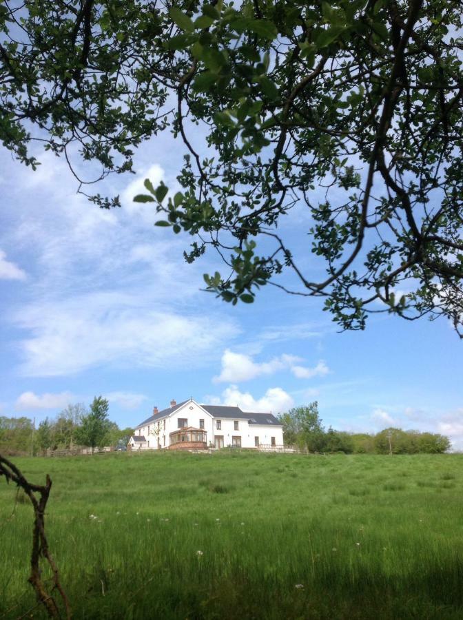 דירות Nantgaredig Penddaulwyn Uchaf Farm # Carmarthenshire מראה חיצוני תמונה