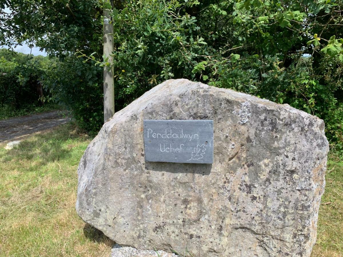 דירות Nantgaredig Penddaulwyn Uchaf Farm # Carmarthenshire מראה חיצוני תמונה